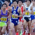 松枝