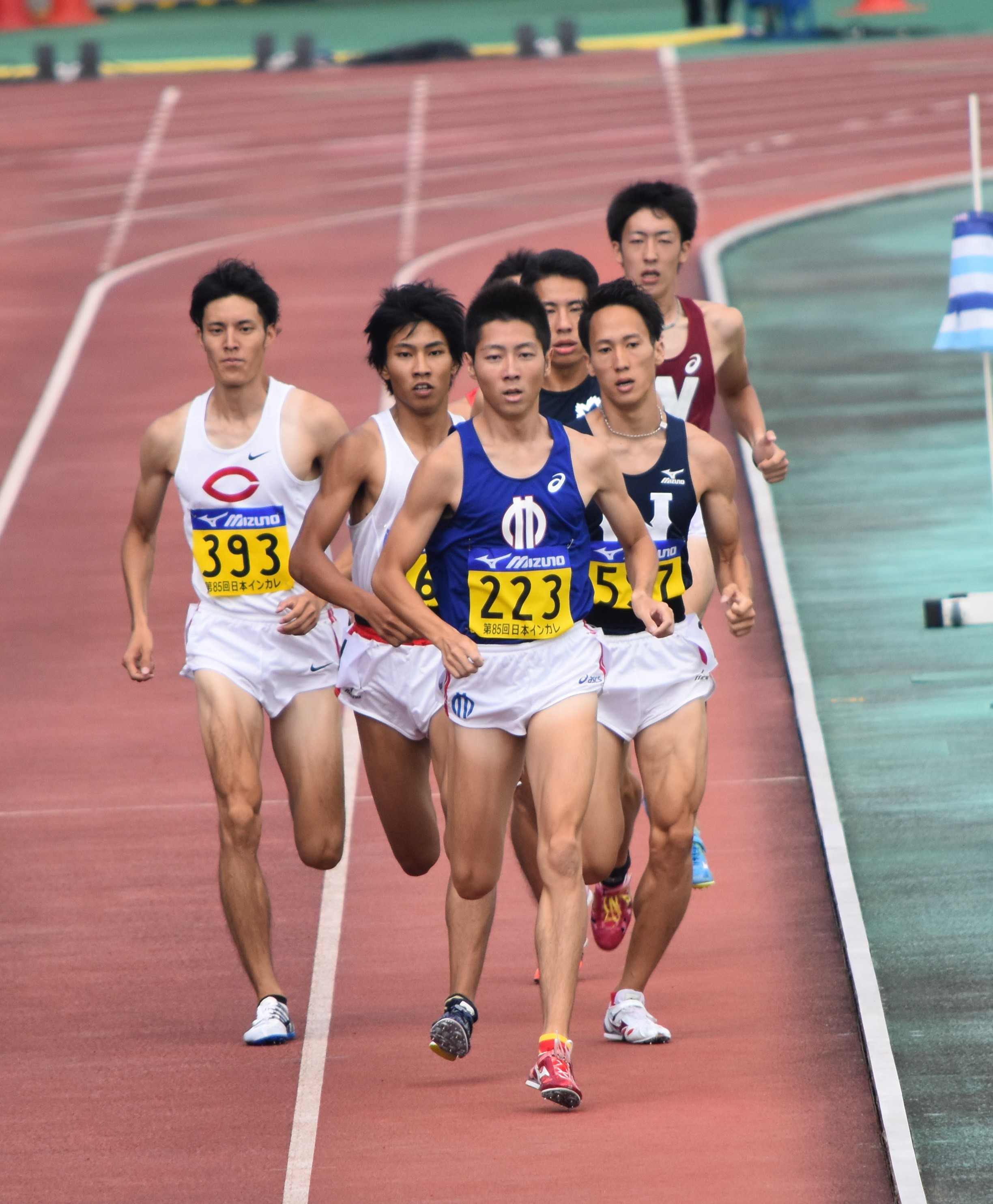 800m-arayasu